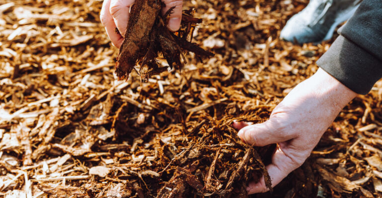 mulch (featured image)