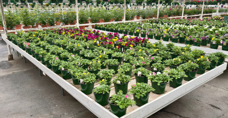 nursery