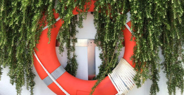 The Best Plants For Arizona Pool Areas That Stay Attractive And Never Make A Mess In The Water
