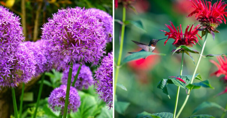 The Best Plants For Keeping Critters Away In Tennessee