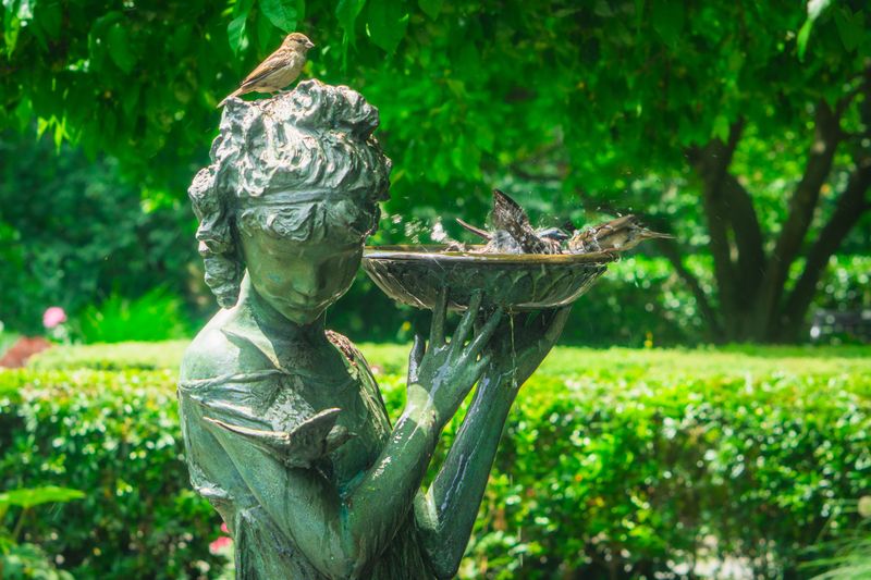 The Best Spots In A Wisconsin Yard To Place A Bird Bath