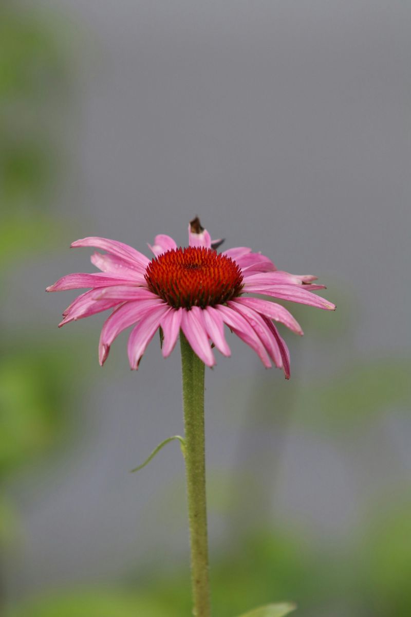 The Best Spots In Your Nebraska Yard The Best Spots In Your Nebraska Yard