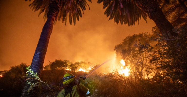 The California Wildfire Evacuation Checklist Every Gardener Should Know