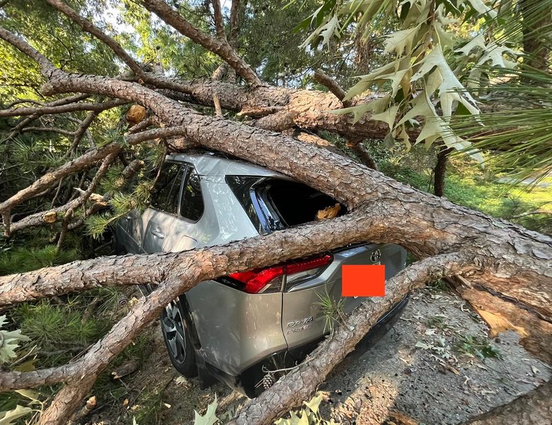 The Car Owner's Comprehensive Coverage Usually Pays