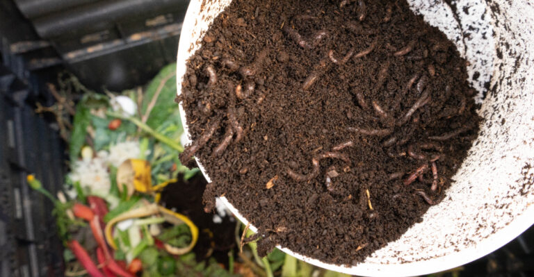 vermicomposting
