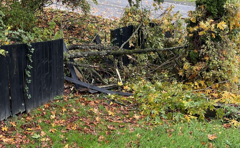 The Fence Owner May Need To Start With Their Insurance The Fence Owner May Need To Start With Their Insurance