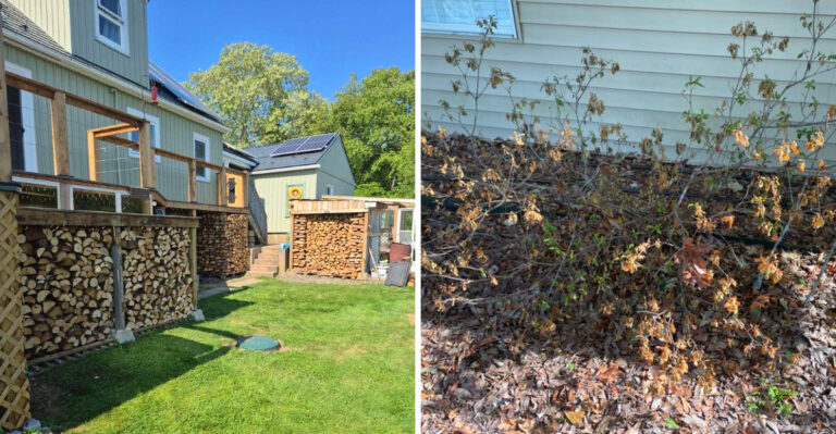 The Firewise Landscaping Mistakes California Gardeners Should Avoid In July