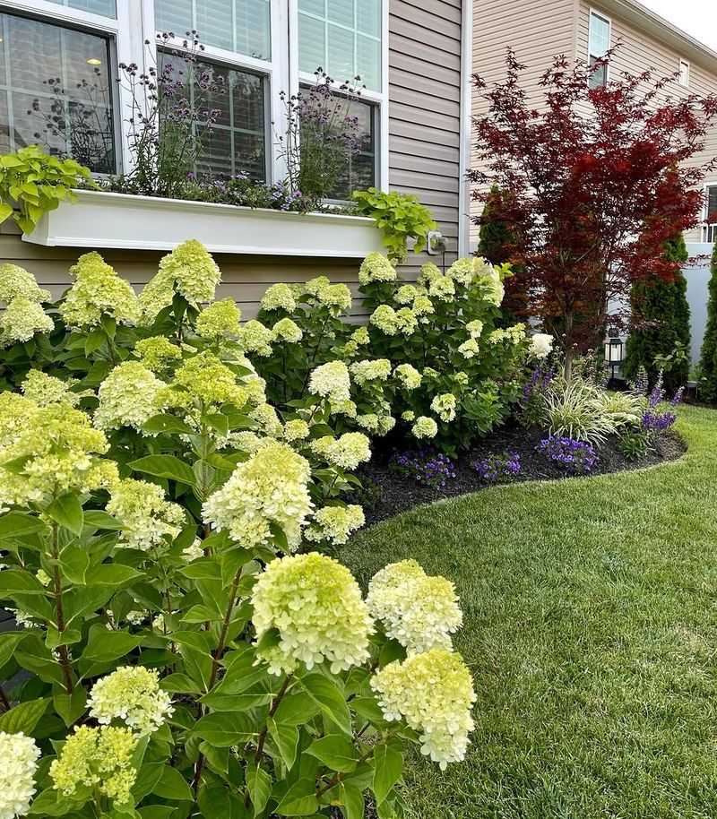 The Flowers Start Fresh And Green
