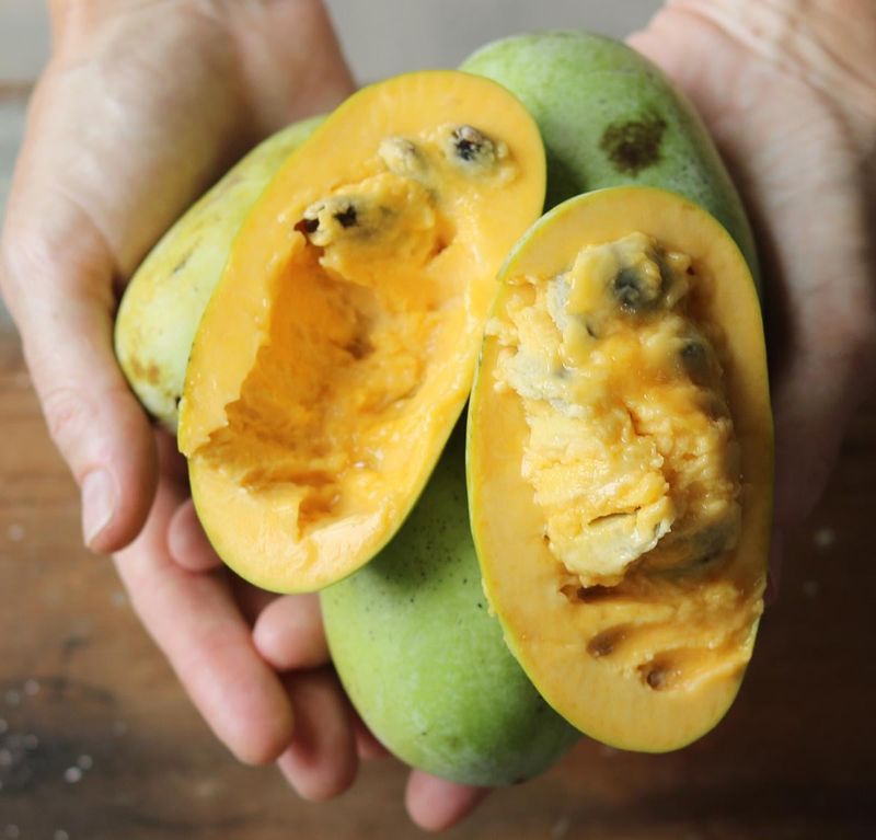 The Fruit Has A Tropical Flavor