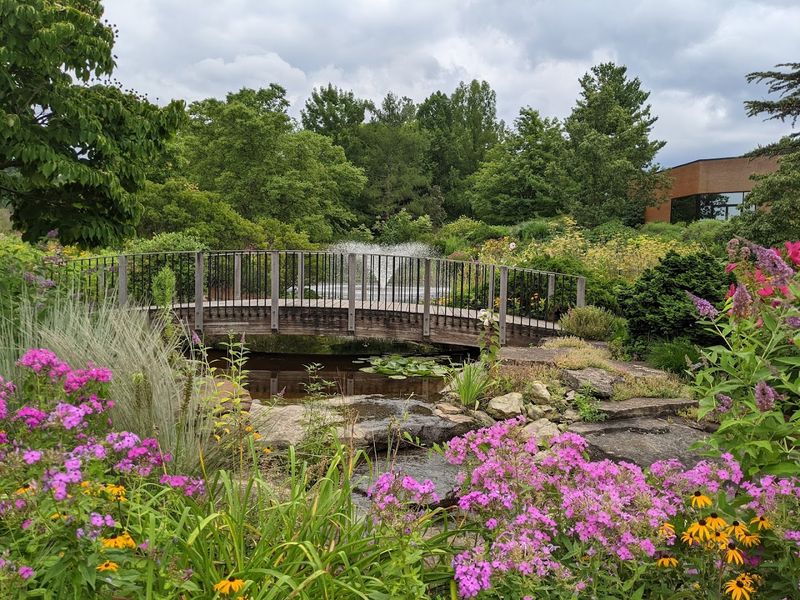 The Holden Arboretum Showcases Roses Against A Woodland Backdrop