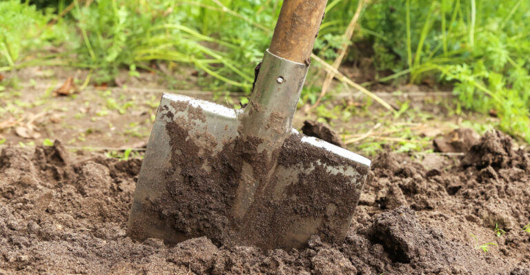 Digging up soil in garden
