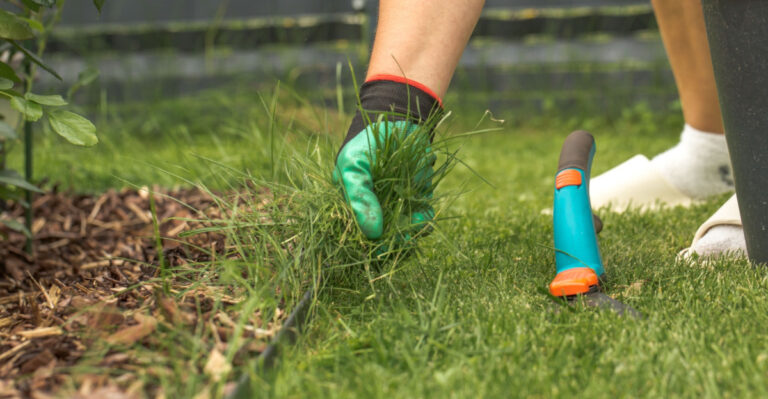 The June Garden Tasks Oregon Homeowners Skip Until It’s Too Late