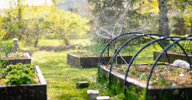 garden watering