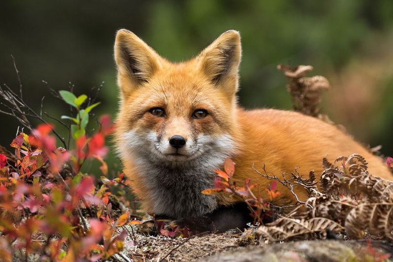 The Local Ecosystem Is Relatively Healthy The Local Ecosystem Is Relatively Healthy