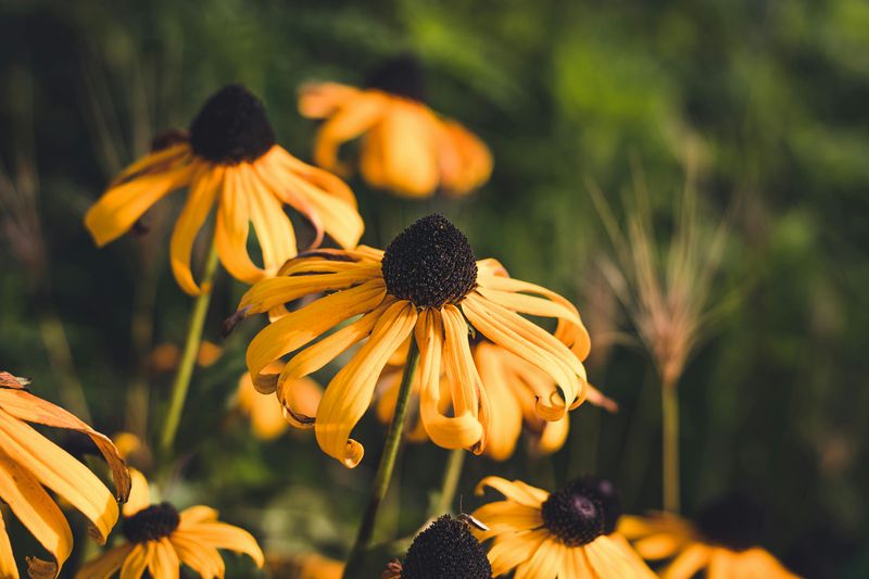 The Longer You Leave Them Alone, The Better They Bloom The Longer You Leave Them Alone, The Better They Bloom