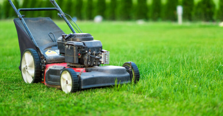 The Mowing Habit That Speeds Up Lawn Damage During Indiana’s Dry Season
