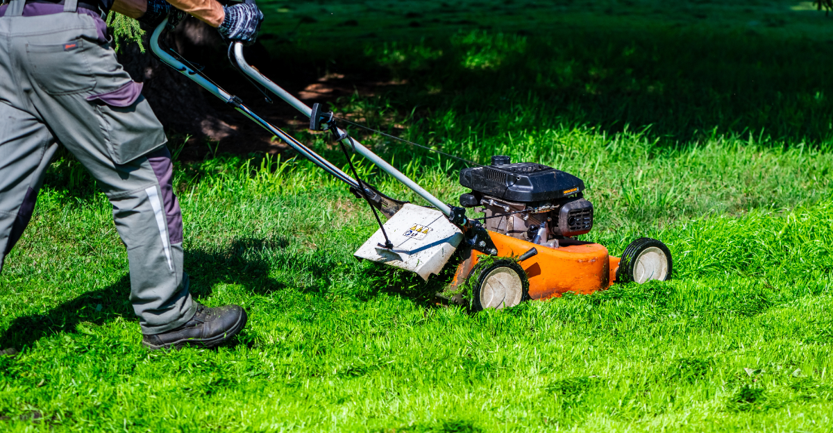 lawn mowing (featured image)