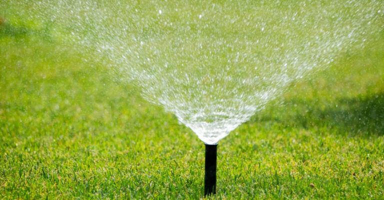 The North Dakota Lawn Truth That Changes Everything About How You Water