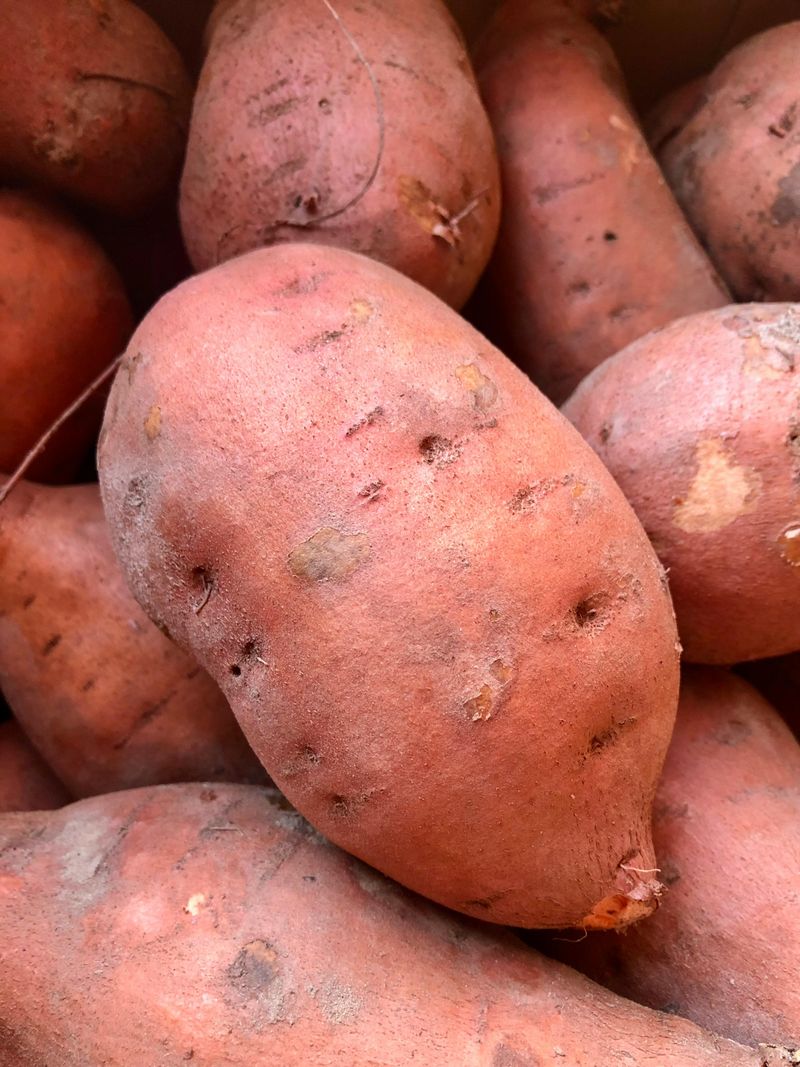 The One Crop Every Indiana Senior Gardener Grows In June