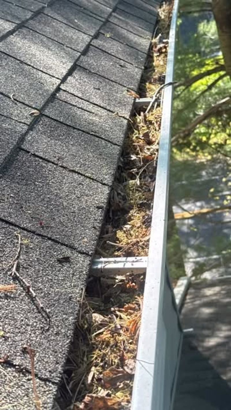 The One Place Is The Roof Gutter Line