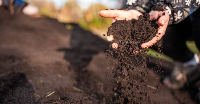 compost