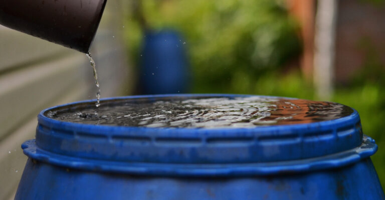 The Rain Barrel System Helping New Jersey Gardeners Get Through Dry Season