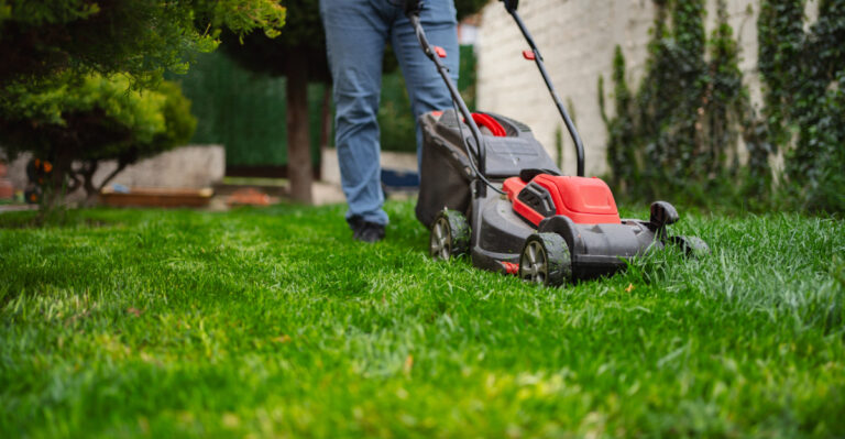 The Right Lawn Mowing Height For Minnesota Drought Seasons