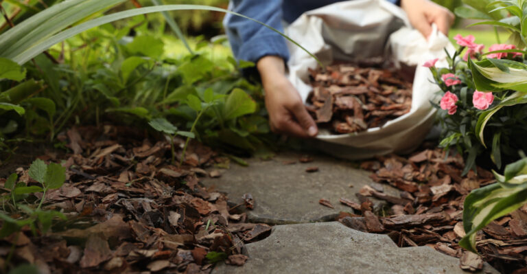 mulch (featured image)