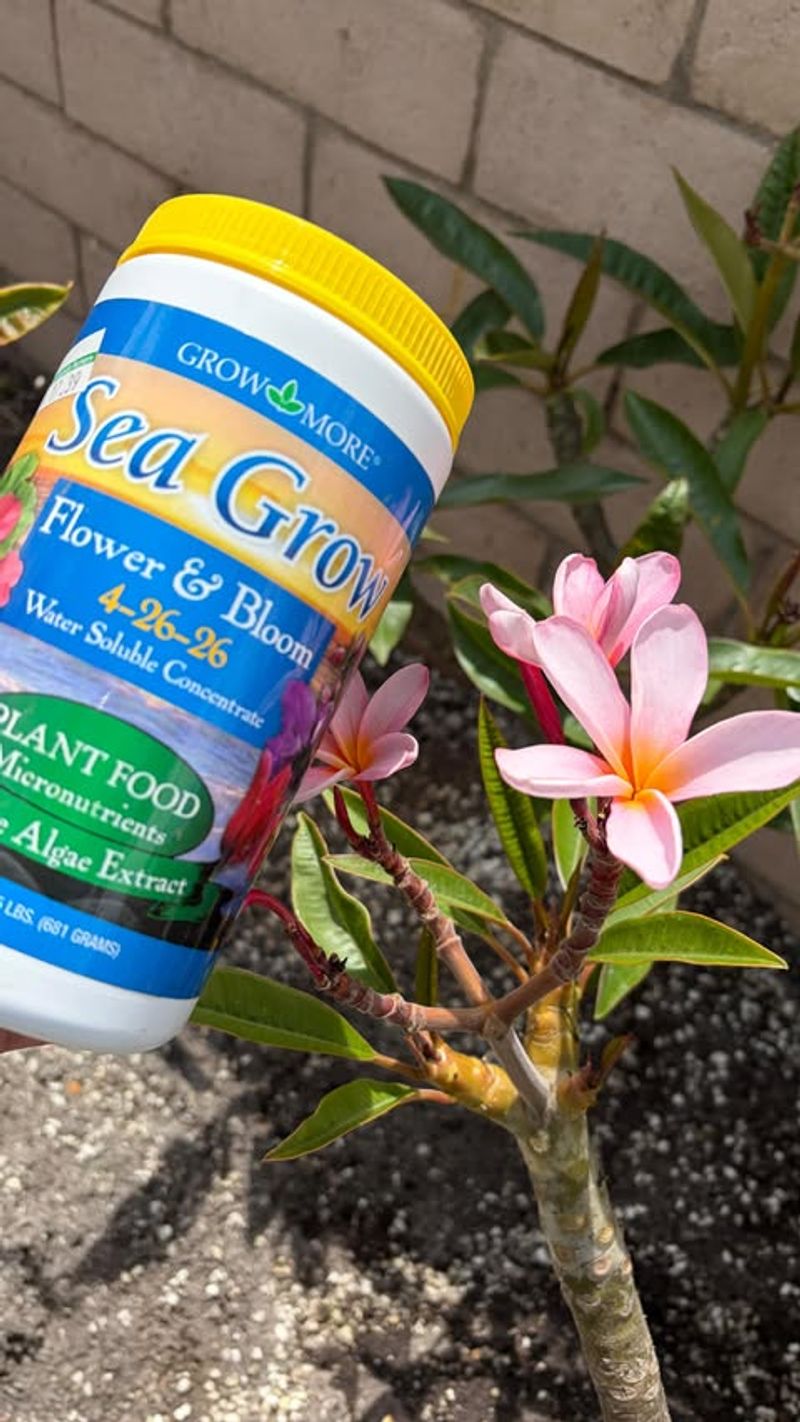 The Role Of Bloom-Boost Fertilizer The Role Of Bloom-Boost Fertilizer