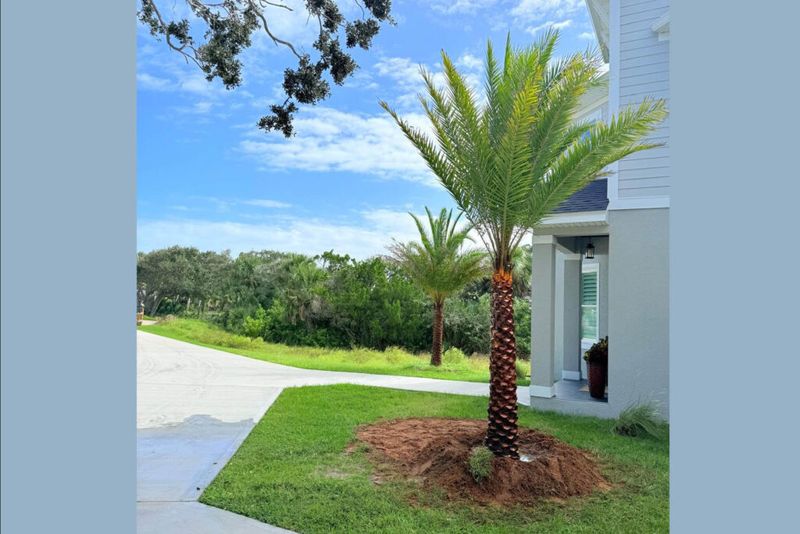 The Role Soil Quality Plays In Palm Survival The Role Soil Quality Plays In Palm Survival