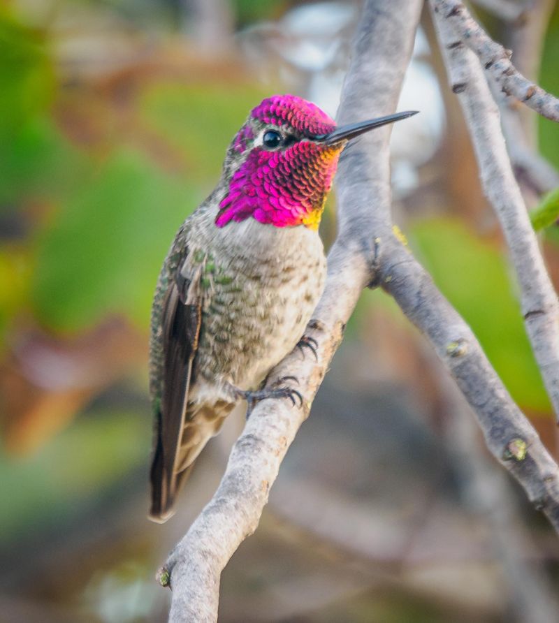 The Same Perches Stay Busy Every Day The Same Perches Stay Busy Every Day