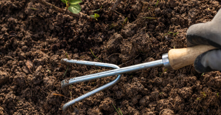 Gardener loosening soil