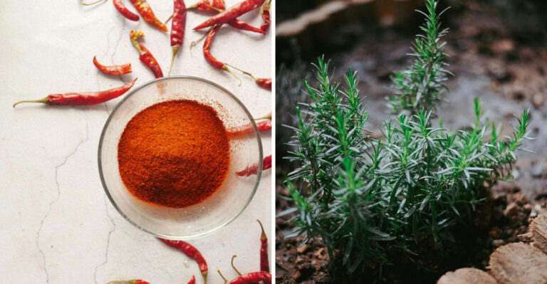 The Scents That Keep Critters Away From Illinois Gardens