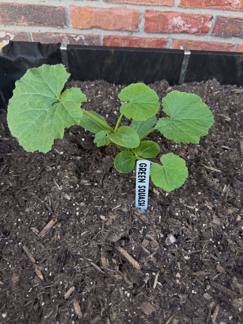 The Smartest Buying Rule Is Match The Plant To The Tested Soil The Smartest Buying Rule Is Match The Plant To The Tested Soil