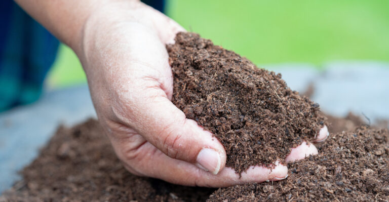 Soil amendment (featured image)