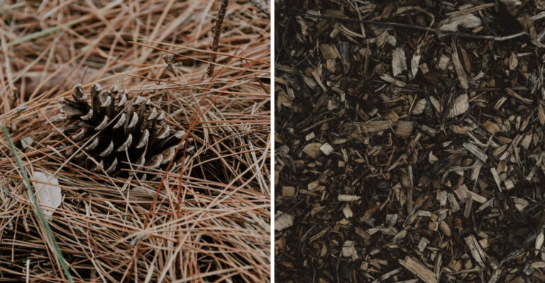 The Tennessee Homeowner’s Guide To Choosing Between Pine Straw And Mulch