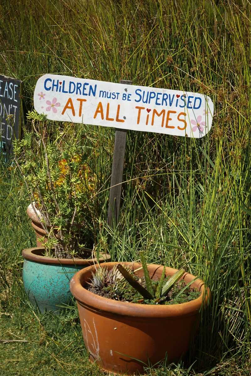 There Are No Outward Warning Signs At All There Are No Outward Warning Signs At All