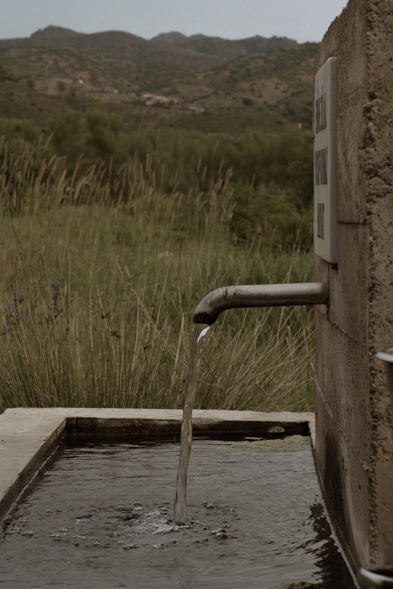 There Is A Reliable Water Source Nearby There Is A Reliable Water Source Nearby