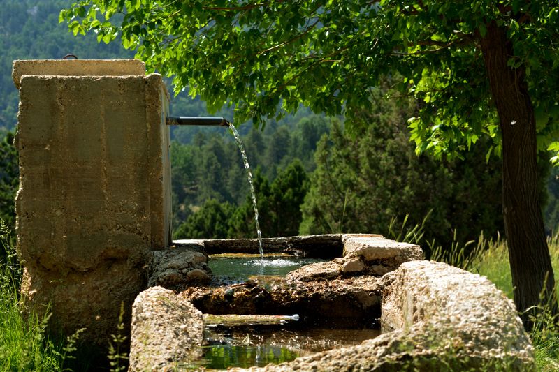 There Is A Water Source Nearby It Relies On Daily There Is A Water Source Nearby It Relies On Daily