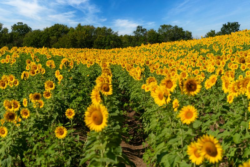 There's A Right Moment, And Kansas Makes It Easy To Miss