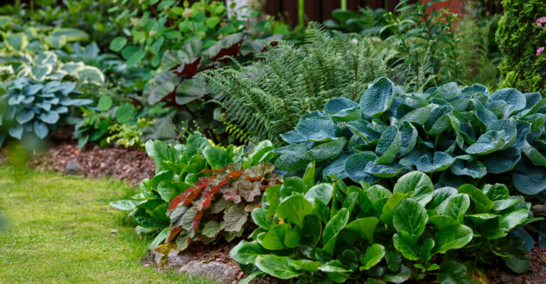 These 11 Shade-Loving Plants Are Almost Impossible To Destroy In Oregon Gardens