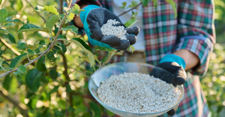Fertilizing trees (featured image)