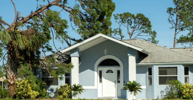 hurricane damage