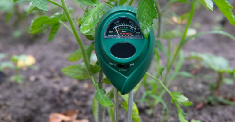These Are The Moves That Matter More Than Watering Your Lawn In Massachusetts This June