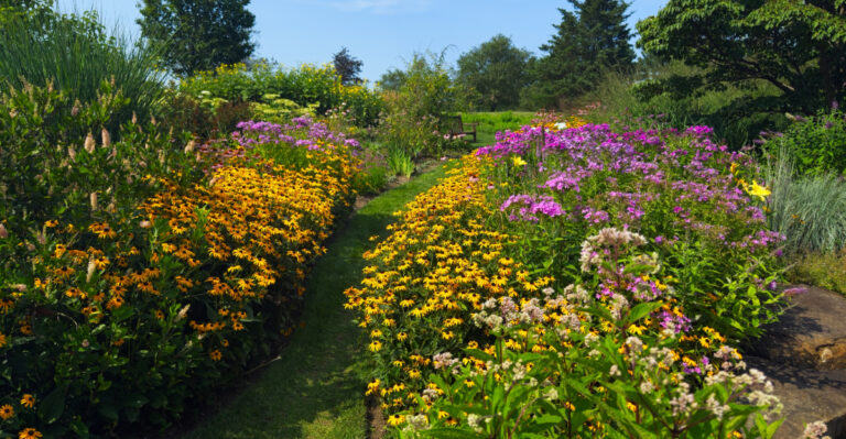 prairie garden