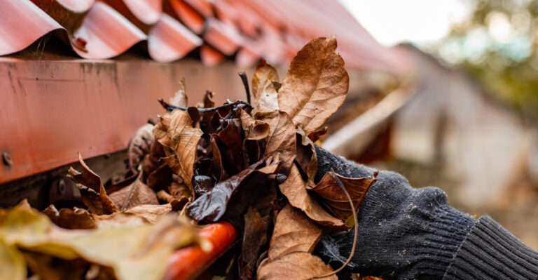 These Are The Simple Steps Mississippi Homeowners Should Take Before Summer Storm Season Arrives