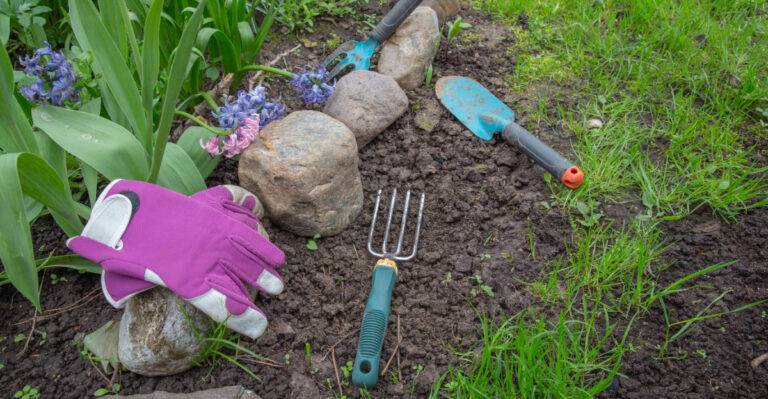 These Dollar Store Gardening Finds Actually Work In Oregon Gardens