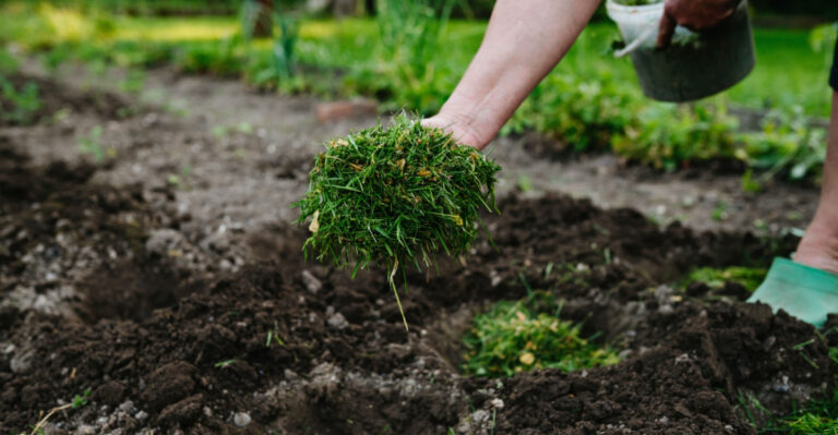 These Free Garden Materials Can Help Oregon Soil Before The Summer Heat Peaks