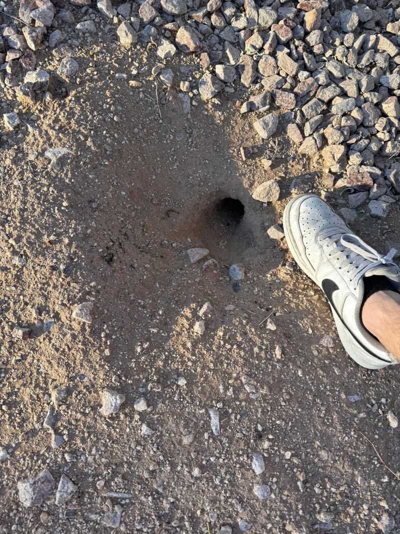 They Help Show Where Soil Is Vulnerable