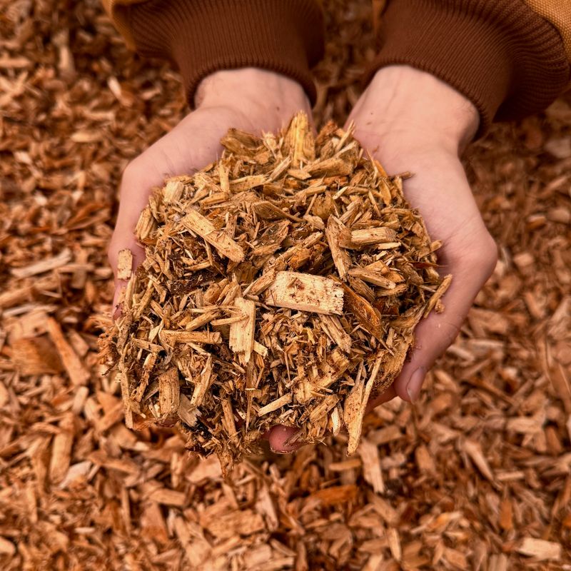Thick Wood Mulch Creates Cool Hiding Places Thick Wood Mulch Creates Cool Hiding Places